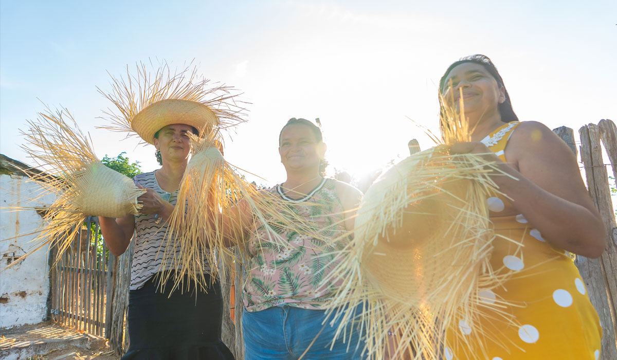 Associação Caatinga conclui projeto “Carnaúba Sustentável: Fortalecendo a Cadeia Produtiva da Carnaúba”; veja resultados