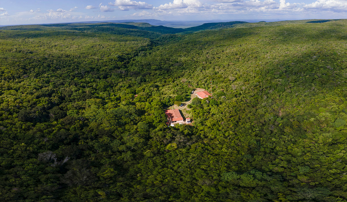 Associação Caatinga participa de série sobre os desafios e oportunidades do Mercado de carbono no Brasil