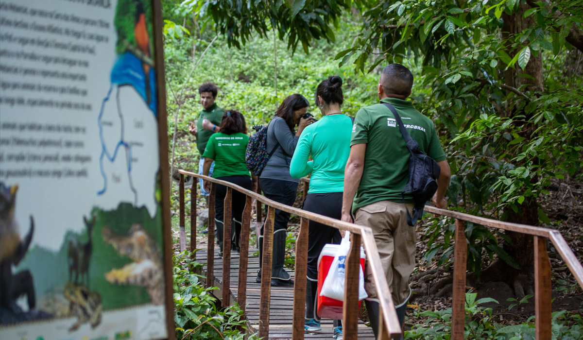 Reserva Natural Serra das Almas se destaca como opção de turismo ecológico no Ceará